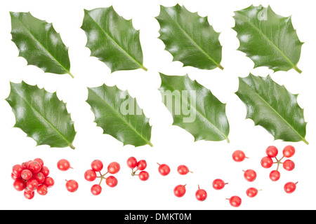 Holly Blätter und Beeren Sammlung isoliert auf weiss, Clipping-Pfad enthalten Stockfoto