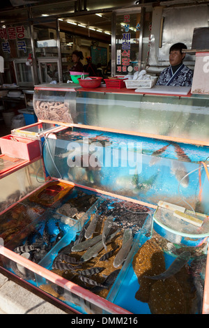 Lebende Fische tank Anzeige vor der Fischrestaurant am Jagalchi Shijang (traditionelle outdoor-Markt) - Busan, Südkorea Stockfoto