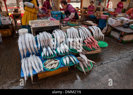 Verschiedene frische Fische stehen am Jagalchi Shijang (traditionelle outdoor-Markt) - Busan, Südkorea Stockfoto