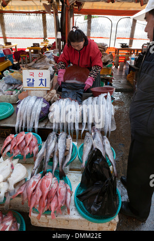 Verschiedene frische Fische stehen auf Shijang (traditionelle outdoor-Markt) - Busan, Südkorea Stockfoto