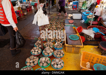 Schalentiere Anbieter am Jagalchi Shijang (traditionelle outdoor-Markt) - Busan, Südkorea Stockfoto