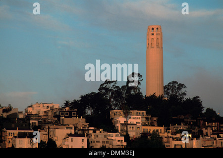 Coit Tower auf dem Telegraph Hill, North Beach, San Francisco, Kalifornien Stockfoto