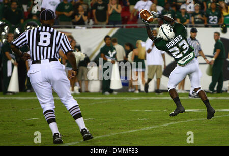 15. Oktober 2009: South Florida Wide Receiver Faron Hornes #23 vollendet einen Haken in der ersten Hälfte von der South Florida gegen Cincinnati College-Football-Spiel statt im Raymond James Stadium in Tampa, FL. (Credit-Bild: © Southcreek Global/ZUMApress.com) Stockfoto