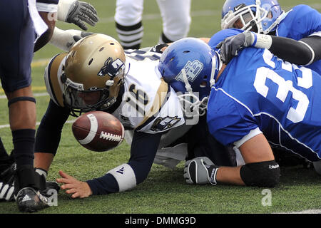 17. Oktober 2009: Akron Quarterback Patrick schön (16) befummelt den Ball in der Nähe des Ende-Zon nach der Einnahme des Hit von Buffalo Linebacker Scott Pettigrew (33) im zweiten Quartal. Buffalo gewann das Spiel mit 21-17 über Akron 3-4 auf der Saison im UB-Stadion in Buffalo, NY zu verbessern, um... Obligatorische Credit: Michael Johnson / Southcreek Global (Kredit-Bild: © Southcreek Global/ZUMApress.com) Stockfoto