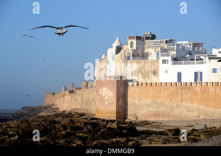 Blick von Skala du Port in Richtung Stadtmauern der Medina, der Altstadt von Essaouira, die Stadt an der Küste von Marokko. Stockfoto