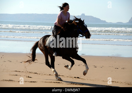 Touristische Reiten am Strand von Essaouira, Marokko Stockfoto