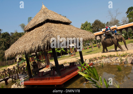 Horizontale Porträt von wenigen westlichen genießen ein Elefanten-Trekking in Laos. Stockfoto