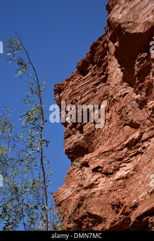 Rote Erde und Berge in den Palo Duro Canyon State Park in der Nähe von Amarillo in Texas Panhandle Stockfoto