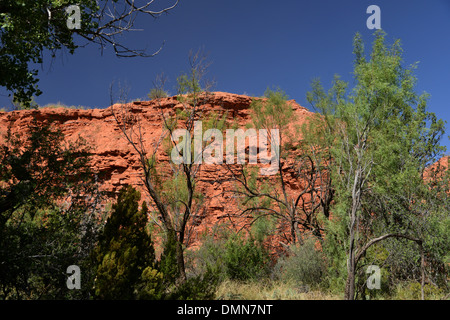 Rote Erde und Berge in den Palo Duro Canyon State Park in der Nähe von Amarillo in Texas Panhandle Stockfoto