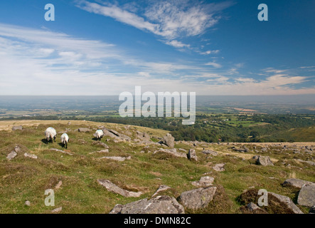 Beeindruckende Dartmoor Landschaft auf Belstone Common, Nord Nord Ost Stockfoto