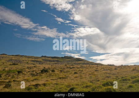 Beeindruckende Landschaft des Dartmoor auf Belstone Stockfoto