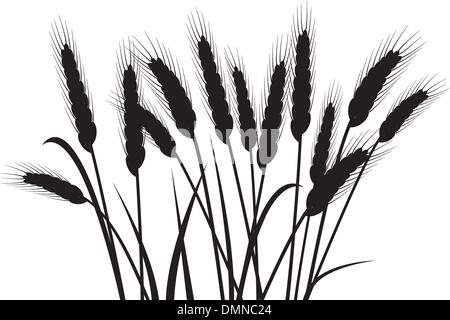 Reihe von Vektor-Ähren Stock Vektor