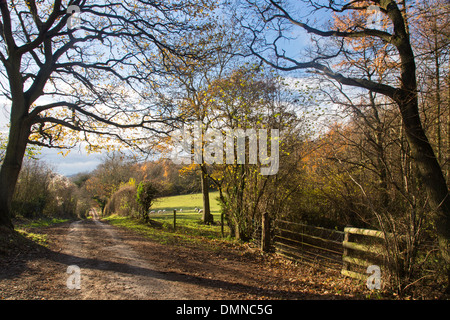 Herefordshire Landstraße im Herbst in der Nähe von viel Marcle, Herefordshire, England, UK Stockfoto