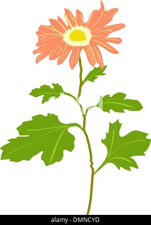 Illustration der Chrysantheme Stock Vektor