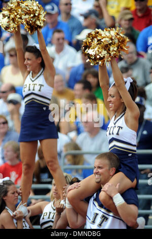 12. September 2009: Pittsburgh Panthers Cheerleader jubeln bei einem Kick-off in der ersten Hälfte des Samstag-Spiel gegen die University of Buffalo Bulls im UB-Stadion in Buffalo NY. (Kredit-Bild: © Southcreek Global/ZUMApress.com) Stockfoto