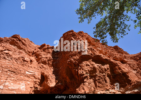 Rote Erde und Berge in den Palo Duro Canyon State Park in der Nähe von Amarillo in Texas Panhandle Stockfoto