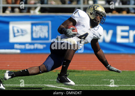 12. September 2009: Pittsburgh Panther Elijah Fields fällt in Richtung der Torlinie nach der vierten Quartal abfangen zu machen, als die Panthers die University of Buffalo Bulls 54-27 UB-Stadion in Buffalo NY sank. (Kredit-Bild: © Southcreek Global/ZUMApress.com) Stockfoto