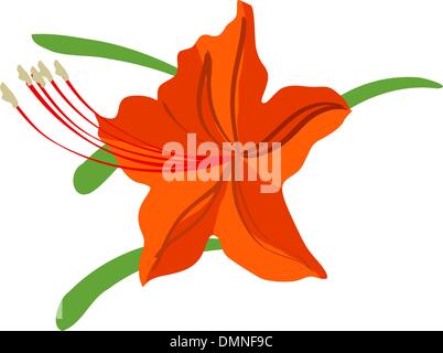Abbildung der rhododendron Stock Vektor