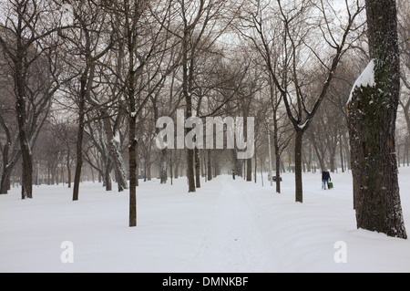 Parc Lafontaine unter einer Schneedecke in Montreal, Quebec. Stockfoto