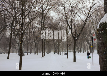 Parc Lafontaine unter einer Schneedecke in Montreal, Quebec. Stockfoto