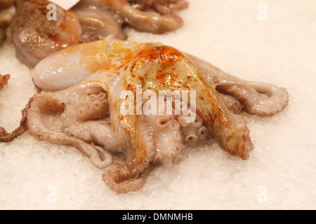 Verschiedene Fischarten gesehen am Markt der Stadt Palma de Mallorca, Spanien Stockfoto