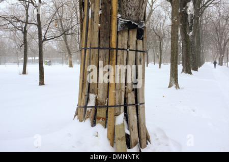 Parc Lafontaine unter einer Schneedecke in Montreal, Quebec. Stockfoto