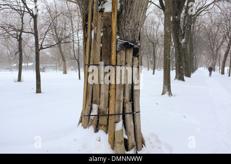 Parc Lafontaine unter einer Schneedecke in Montreal, Quebec. Stockfoto