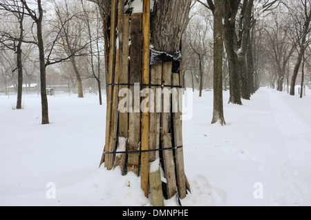 Parc Lafontaine unter einer Schneedecke in Montreal, Quebec. Stockfoto