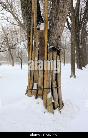 Parc Lafontaine unter einer Schneedecke in Montreal, Quebec. Stockfoto