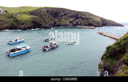 Dreharbeiten für die neue Serie von Doc Martin startete in Port Isaac, Cornwall. 21.05.2013 Stockfoto