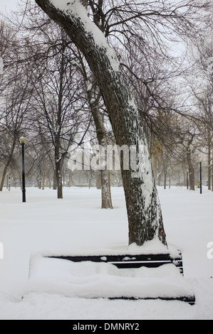 Parc Lafontaine unter einer Schneedecke in Montreal, Quebec. Stockfoto