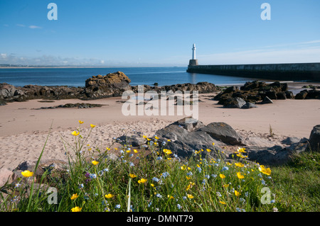 Torry Leuchtturm Wildblumen Pier Aberdeen Strand Stockfoto