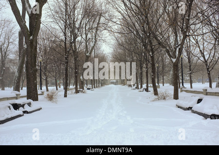 Parc Lafontaine unter einer Schneedecke in Montreal, Quebec. Stockfoto