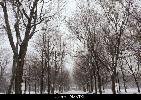 Parc Lafontaine unter einer Schneedecke in Montreal, Quebec. Stockfoto