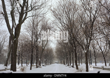 Parc Lafontaine unter einer Schneedecke in Montreal, Quebec. Stockfoto