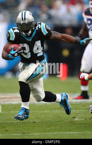 25. Oktober 2009 - Charlotte, North Carolina, USA - 25. Oktober 2009: Carolina Panthers Runningback findet DeAngelo Williams #34 Zimmer gegen die Rechnungen laufen. Die Buffalo Bills besiegte die Carolina Panthers 20-9 bei Bank of America Stadium in Charlotte, North Carolina. (Kredit-Bild: © Margaret Bowles/Southcreek Global/ZUMApress.com) Stockfoto
