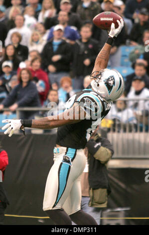 25. Oktober 2009 - Charlotte, North Carolina, USA - 25. Oktober 2009: Carolina Panthers Wide Receiver Steve Smith #89 nicht ganz in den Pass ziehen.  Die Buffalo Bills besiegte die Carolina Panthers 20-9 bei Bank of America Stadium in Charlotte, North Carolina. (Kredit-Bild: © Margaret Bowles/Southcreek Global/ZUMApress.com) Stockfoto