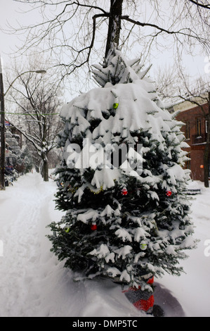 Ein Weihnachtsbaum mit Schnee in Montreal, Quebec bedeckt. Stockfoto