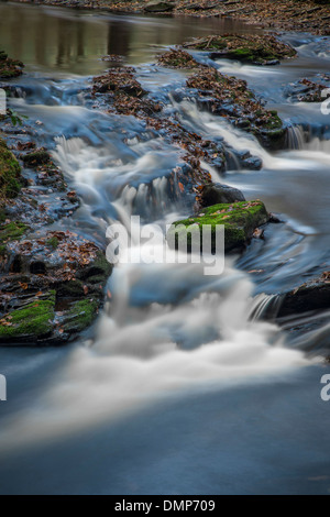 Bach im Wald mit Wasser fließt über die Felsen mit Motion Blur Stockfoto