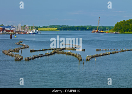 Sägewerk schleswig holstein