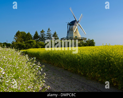 Windmühle Fortuna, Angeln im Museum unter freiem Himmel, Unewatt, Kreis Schleswig-Flensburg, Schleswig-Holstein, Deutschland Stockfoto