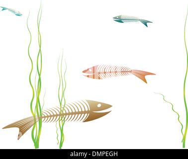 Altes Aquarium. Stock Vektor