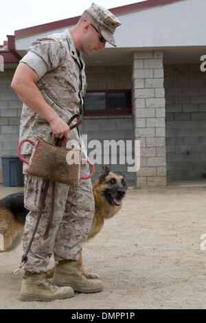 20. August 2009 - San Diego, Kalifornien, USA - die k-9 Gebrauchshund Militäreinheit in Camp Pendleton, Kalifornien trainiert K9 Hunde für den Einsatz in Irak und in Afghanistan auf eine speziell gestaltete Anlage auf Basis. Die Hunde sind geschult und für die verschiedenen Aufgaben einschließlich der Erkennung von Sprengstoff, Drogen, Verfolgung von Verdächtigen und klassifiziert Operationen genutzt. (Kredit-Bild: © Nick Morris/Southcr Stockfoto
