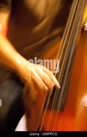 Kontrabass-Spieler spielt sein Instrument mit Motion Blur, Cafe Paris, Havanna Kuba Karibik Stockfoto