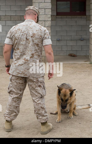 20. August 2009 - San Diego, Kalifornien, USA - die k-9 Gebrauchshund Militäreinheit in Camp Pendleton, Kalifornien trainiert K9 Hunde für den Einsatz in Irak und in Afghanistan auf eine speziell gestaltete Anlage auf Basis. Die Hunde sind geschult und für die verschiedenen Aufgaben einschließlich der Erkennung von Sprengstoff, Drogen, Verfolgung von Verdächtigen und klassifiziert Operationen genutzt. (Kredit-Bild: © Nick Morris/Southcr Stockfoto