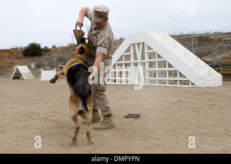 20. August 2009 - San Diego, Kalifornien, USA - die k-9 Gebrauchshund Militäreinheit in Camp Pendleton, Kalifornien trainiert K9 Hunde für den Einsatz in Irak und in Afghanistan auf eine speziell gestaltete Anlage auf Basis. Die Hunde sind geschult und für die verschiedenen Aufgaben einschließlich der Erkennung von Sprengstoff, Drogen, Verfolgung von Verdächtigen und klassifiziert Operationen genutzt. (Kredit-Bild: © Nick Morris/Southcr Stockfoto