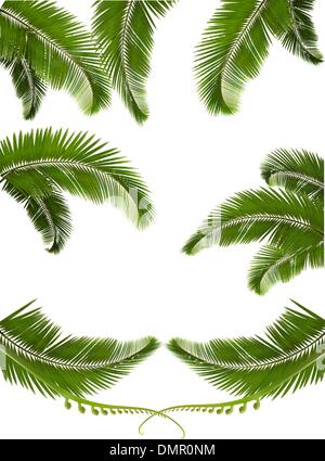 Eingestellt von Hintergründen mit Palmblättern. Vektor-illustration Stock Vektor