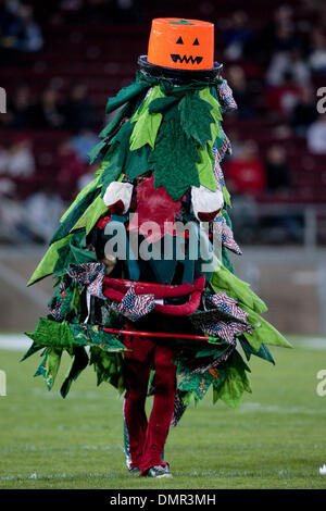 24. Oktober 2009 - Stanford, Kalifornien, USA - 24. Oktober 2009: Stanford-Maskottchen am Samstag im Stanford Stadium, Foster Feld. Die Stanford Cardinals geschlagen die Arizona State Sun Devils 33-14. (Kredit-Bild: © Konsta Goumenidis/Southcreek Global/ZUMApress.com) Stockfoto