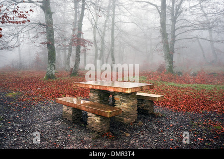 Picknick-Tisch in einem nebligen Wald im Herbst Stockfoto
