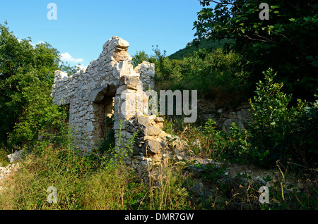 Zerstörte Steinmauern der alten Häuser überwuchert Stockfoto